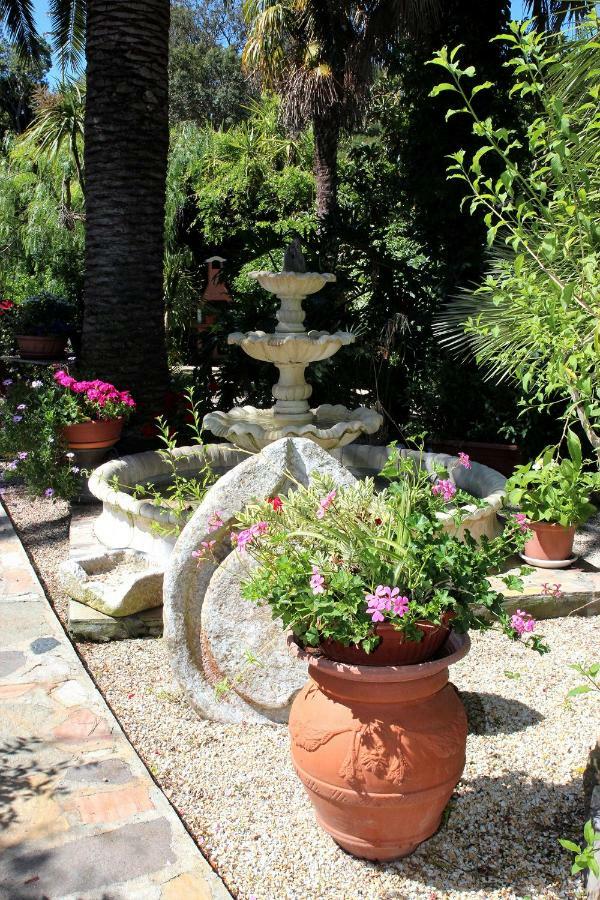 Elbaloves Appartaments Villa Capoliveri  Bagian luar foto